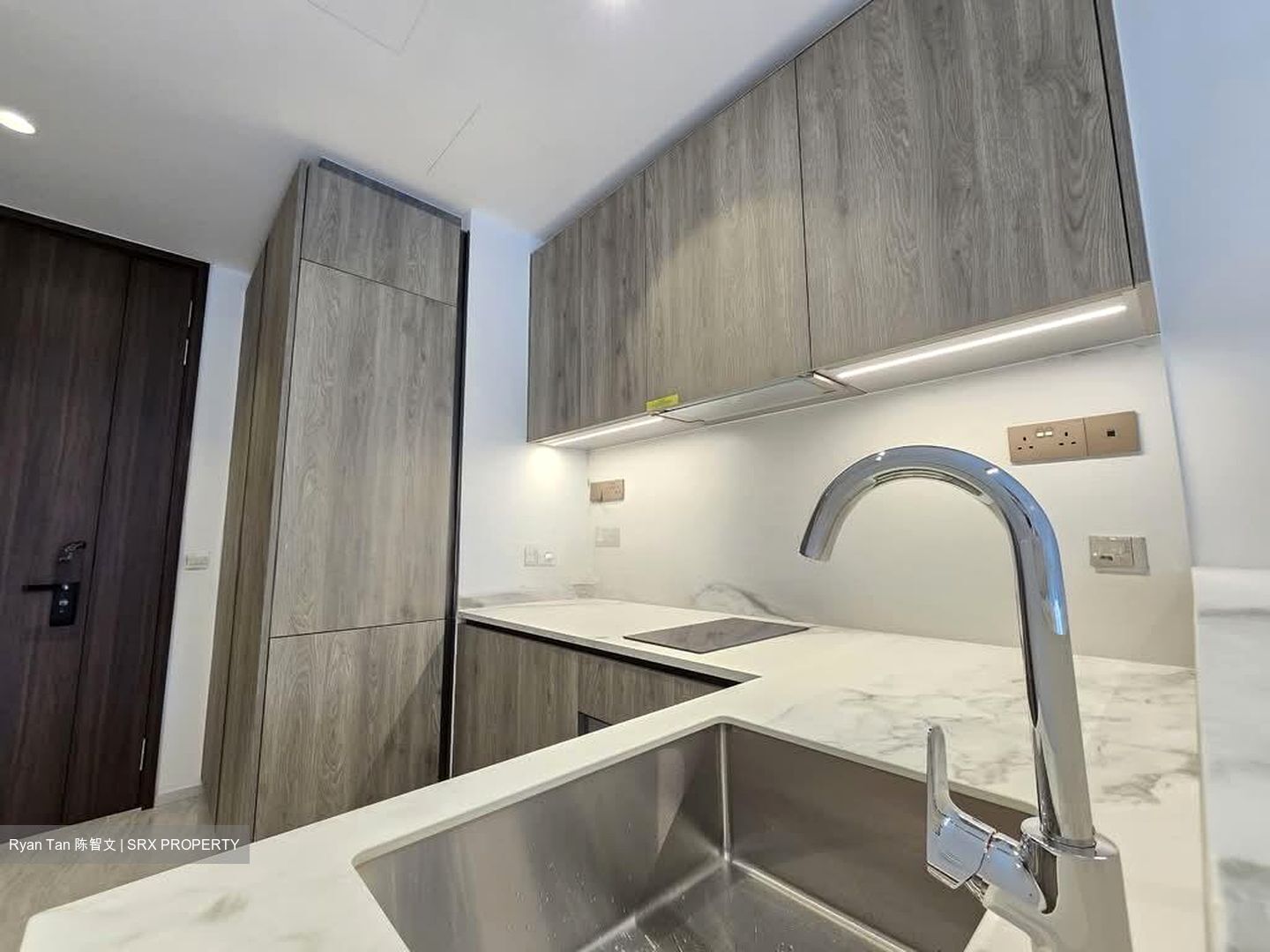 Leedon Green (D10), Condominium #550292491